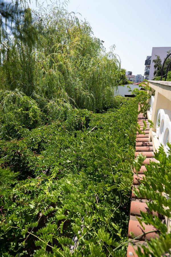 Villa Pontica Navodari Ngoại thất bức ảnh