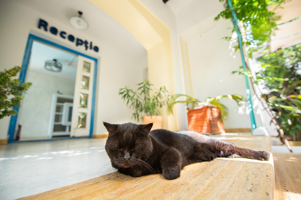 Villa Pontica Navodari Ngoại thất bức ảnh